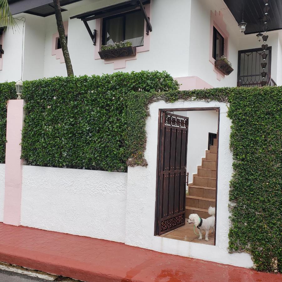 Lovely Location , Right Downtown Puerto Plata Exteriör bild